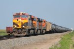 BNSF U Train 4790 West